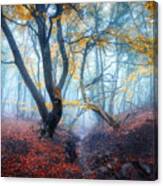 Autumn Foggy Forest. Mystical Autumn Canvas Print