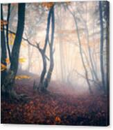 Autumn Forest In Blue Fog. Mystical Canvas Print