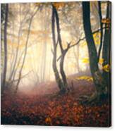 Autumn Forest In Fog. Fall Woods Canvas Print