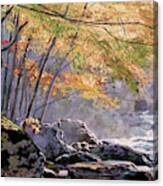 Autumn Glen Canvas Print