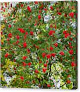Autumn Green And Red Canvas Print