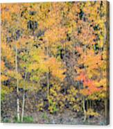 Autumn Hues Canvas Print