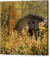Autumn In Appalachia Canvas Print