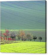 Autumn In South Moravia 18 Canvas Print