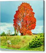 Autumn In Virginia Canvas Print