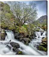 Autumn Mountain Rapids Snowdonia Canvas Print