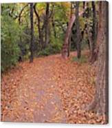 Autumn Pathway Canvas Print
