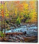 Autumn River Memories Canvas Print
