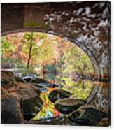 Autumn Tunnel Vision Canvas Print