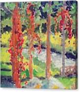 Autumn Vines Canvas Print