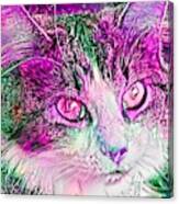 Awesome Pink Kitty Face Canvas Print