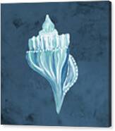 Azul Dotted Seashell On Navy I Canvas Print