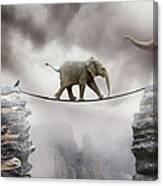 Baby Elephant Canvas Print