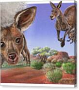 Baby On Board Spread 4 Kangaroo Canvas Print