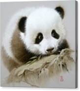 Baby Panda With Bamboo Leaves Canvas Print
