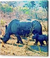 Baby Rhinoceros And Mother Canvas Print