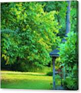 Backyard Beauty Canvas Print