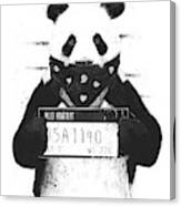 Bad Panda Canvas Print
