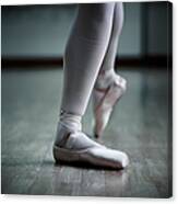 Ballet Feet Canvas Print