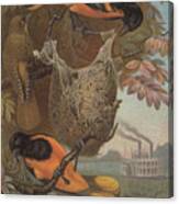 Baltimore Oriole Icterus Galbula Canvas Print