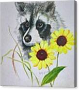 Bandit And The Sunflowers Canvas Print