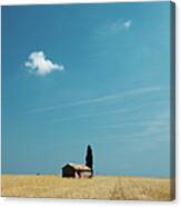 Barn In Crop Field Canvas Print