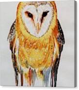 Barn Owl Drip Canvas Print
