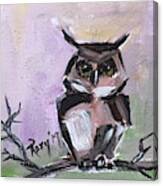 Barn Owl On A Branch Canvas Print