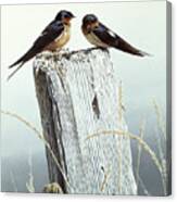 Barn Swallows On Fence Post Canvas Print
