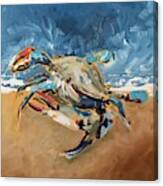 Beach Crab Canvas Print