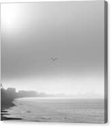 Beach Fog Canvas Print
