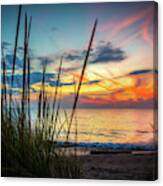 Beach Grass Sunset Canvas Print