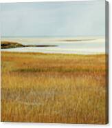 Beach Marsh Canvas Print