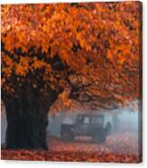 Beautiful Autumn Canvas Print