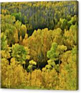 Beautiful Fall Colors At Woods Lake State Wildlife Area Canvas Print