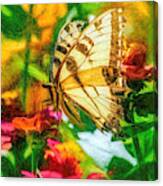 Beautiful Swallow Tail Butterfly Canvas Print