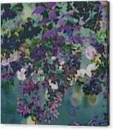 Beauty Bush Purple Abstract Canvas Print