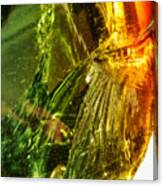 Beauty Of Glass Canvas Print