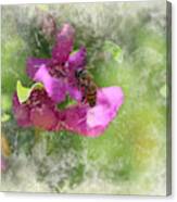 Bee On Texas Ranger Blossom Antiqued And Aged Canvas Print