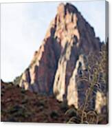 Bee-weed And Zion's Watchman Canvas Print