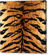 Bengal Tiger Fur Canvas Print
