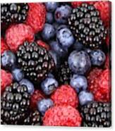 Berries Of The Forest Canvas Print