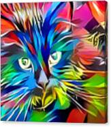 Big Whiskers Cat Canvas Print