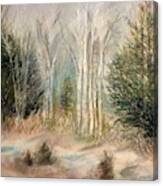 Foggy Birch Canvas Print