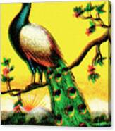 Bird Of Paradise Canvas Print