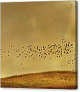 Birds Flying To Bare Tree In Rural Canvas Print