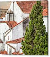 Birds Over Obidos Canvas Print