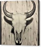 Bison Skull Canvas Print