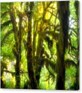 Bizarre Ripe Rainforest Canvas Print