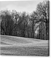 Black And White Field Canvas Print